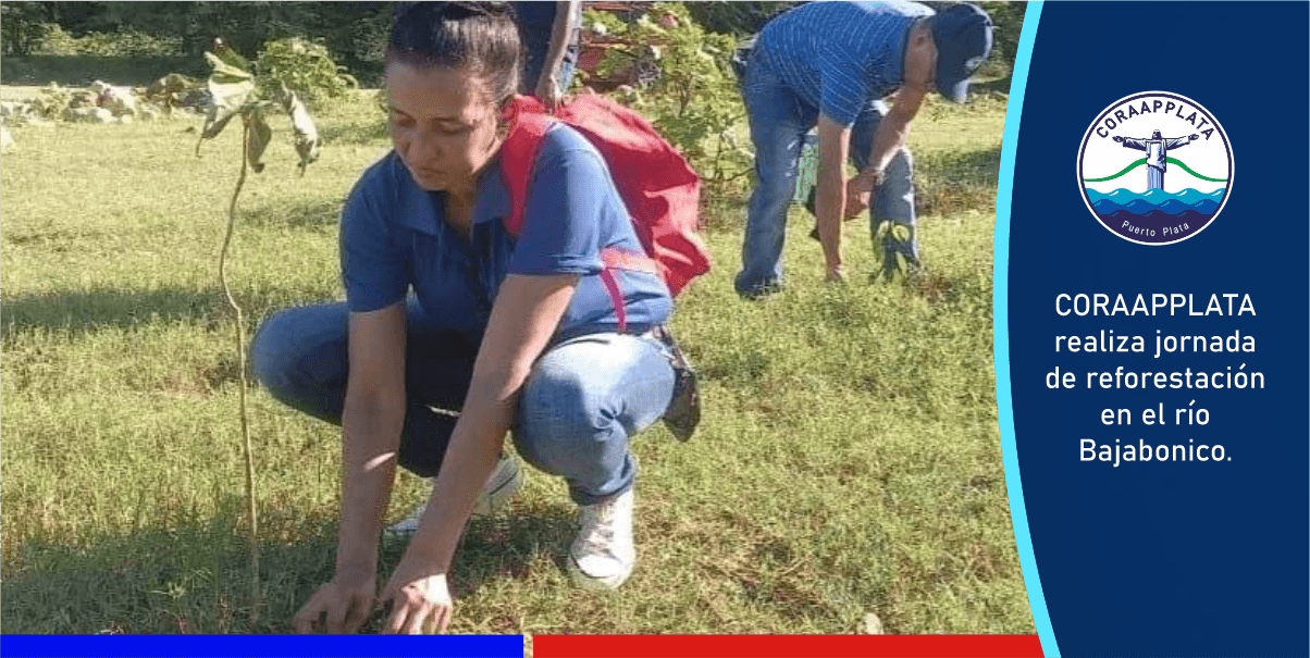 Empleados de CORAAPPLATA plantan arboles en río Bajabonico