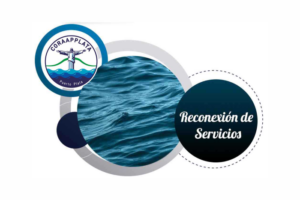 Reconexión de servicios