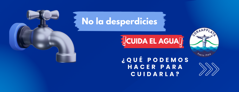 No la desperdicies
