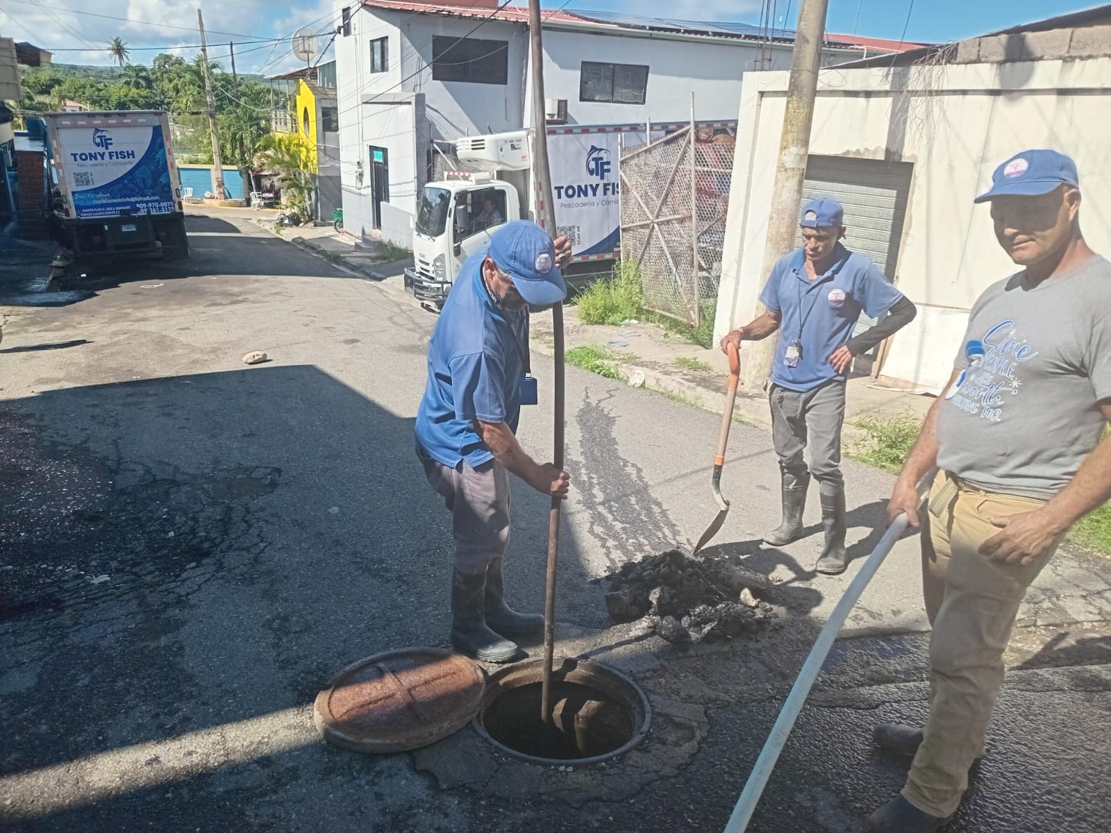 Brigada en plena labor